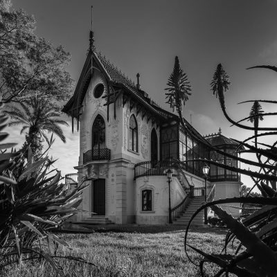 SA703379-Editar-scaled.jpg en byn